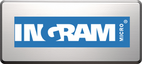 Ingram Micro IFI Techsolutions Partner