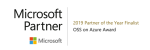 2019 Partner of the Year Finalist Award